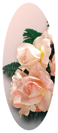 Bouquet Of Roses Peach